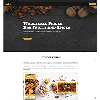 nutlee website design